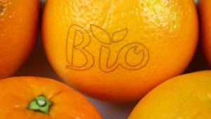 Leia mais sobre o artigo As tintas foodgrade e a segurança alimentar