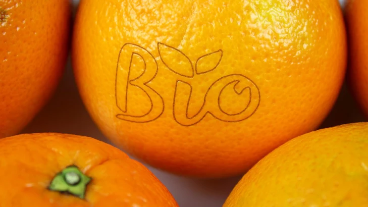Leia mais sobre o artigo As tintas foodgrade e a segurança alimentar